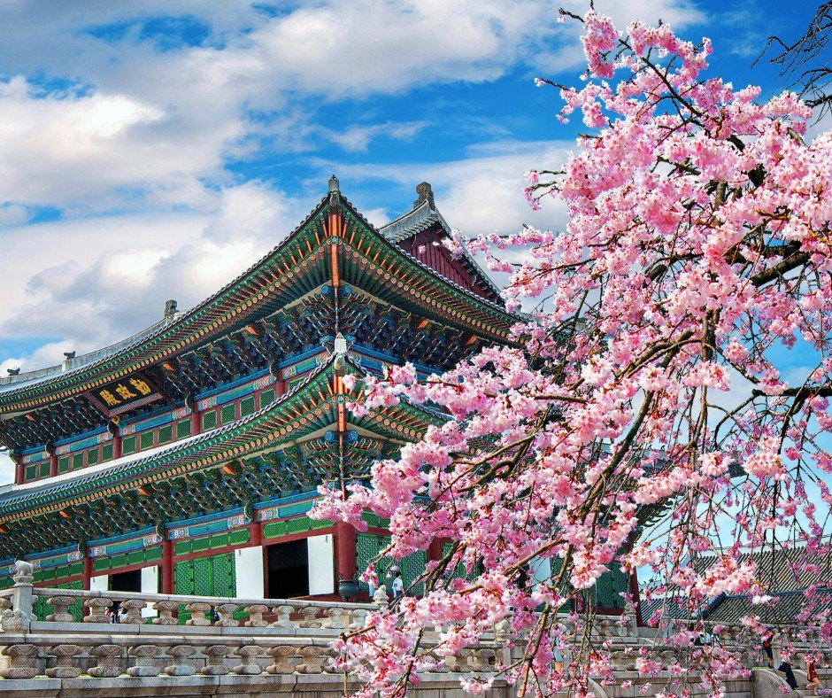 LASEK eye surgery in Korea